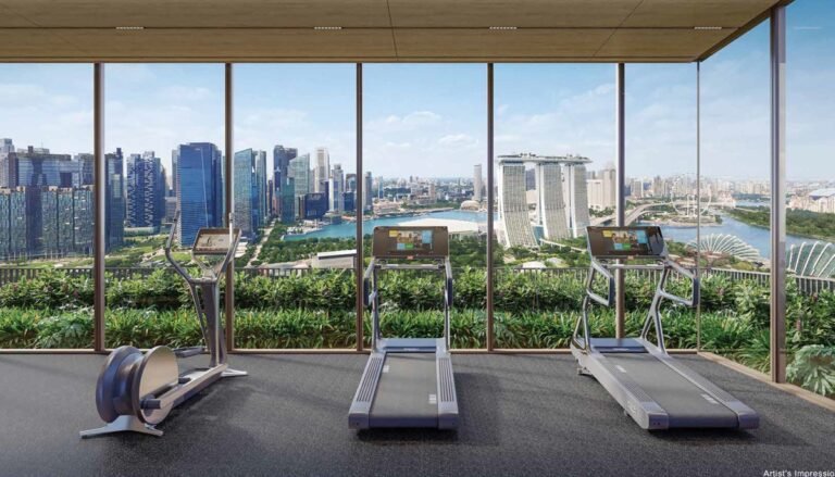 one marina gardens sky gym